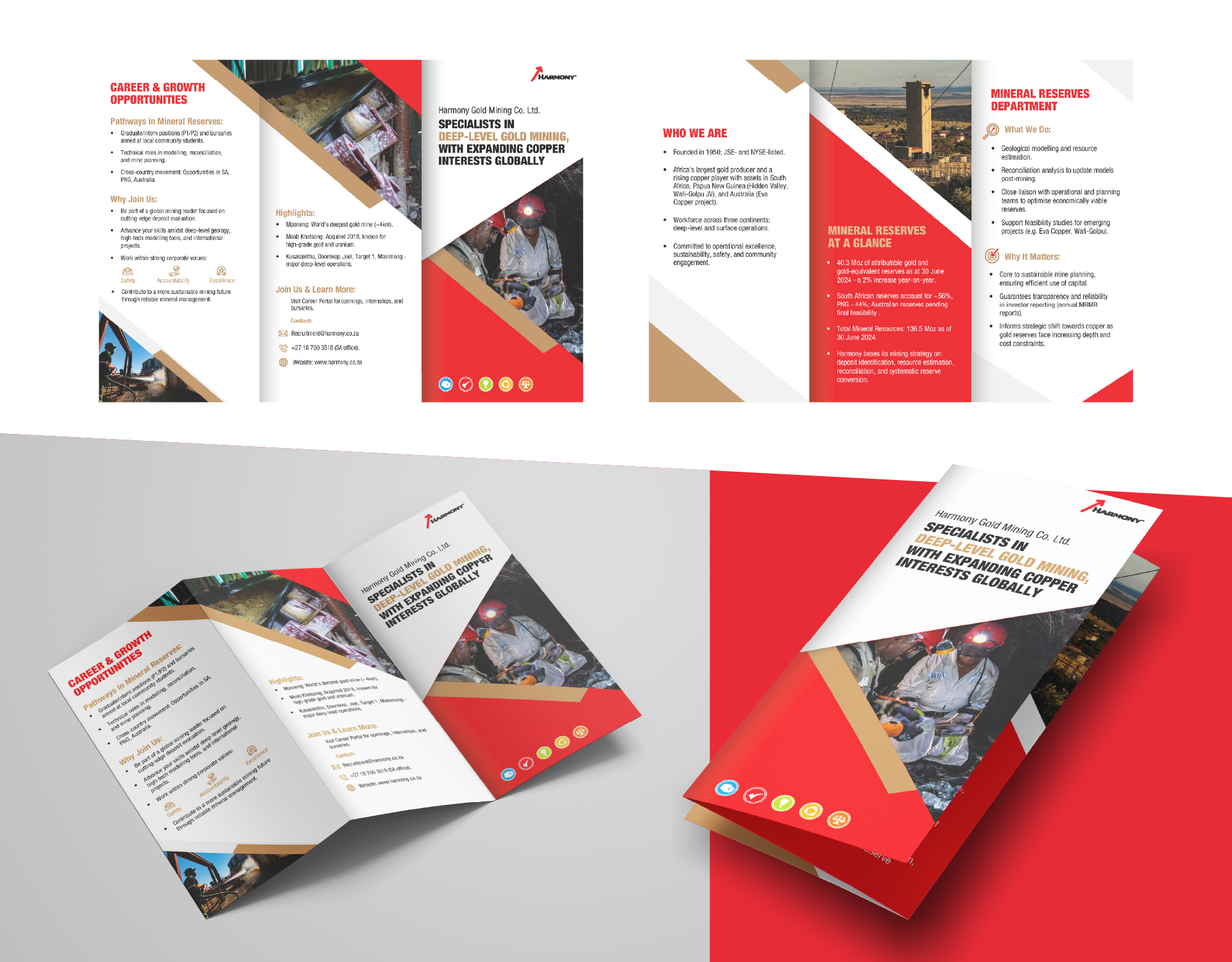 Website-01